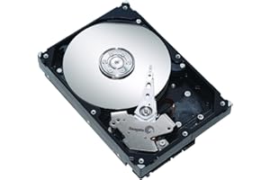 Seagate Barracuda 7200.12 - Hard disk interno da 500 GB, 8,9 cm (3,5"), S-ATA 300 Mbit/s, 7200 rpm, 16 MB di cache