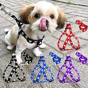 PSK PET MART 15 mm Paw Print Leash and Harness Set for Small & Medium Puppy | Dog Harness and Leash (Color May Vary 1 Pcs Harness + Leash Set)