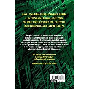 La montagna delle scimmie