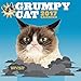 Grumpy Cat (Calendars 2017) by 