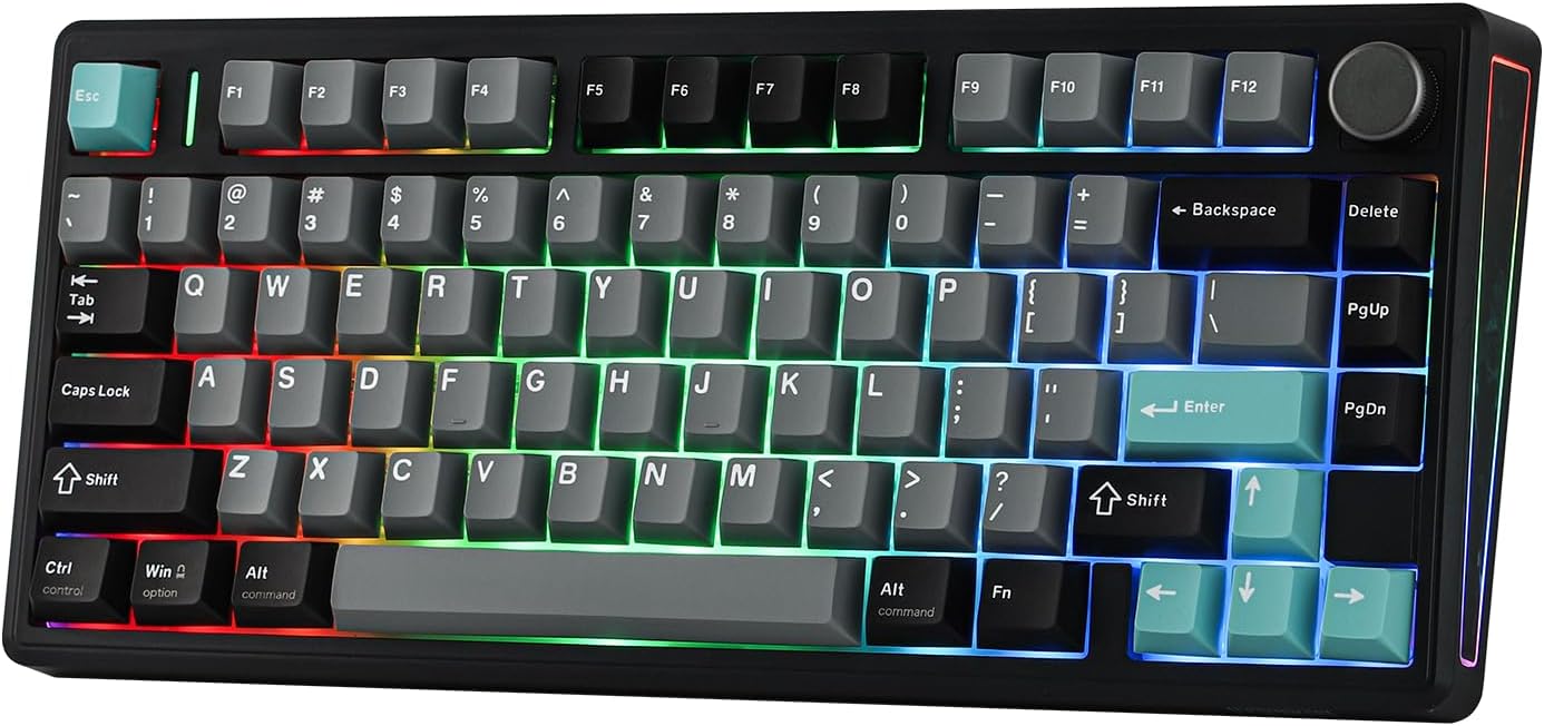 EPOMAKER TH80 V2 75% Kabellose Mechanische Gaming-Tastatur, 8000mAh&2,4G/BT, Hot-Swap, Mac Modifier, RGB, Programmierbare Tasten & Knopf, Creamy Tastatur für Mac/PC (Schwarz, Sea Salt Silent)