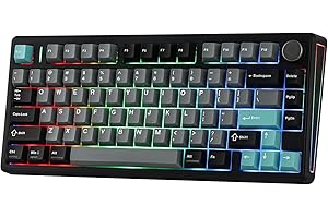 EPOMAKER TH80 V2 75% Wireless Mechanical Gaming Keyboard, 8000mAh & 2.4G/BT, Mac Modifier, RGB Backlit & Side Light, Programmable Keys & Knob, Creamy Keyboard for Mac/PC (Black, Sea Salt Silent)