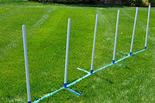 Agility-Weave-Poles-Adjustable-6-Pole-Set-with-Carrying-Case-and-Grass-Stakes