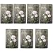 The Face Shop Real Nature Face Mask, Peony, 20g (Pack of 7) RS.400.00