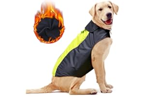 YFBRITE Hunde-Regenmantel, Leichter Hunde-Regenmantel, wasserdicht, wasserdicht, Hunde-Regenjacke, Hundegeschirr, groß, Hundejacke, warmes Hundetuch (grün, groß)