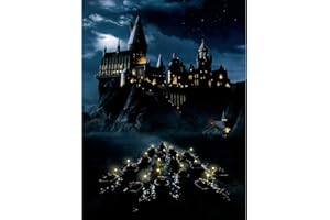 DVBQQWE Kits de peinture au diamant pour adultes Harry Gryffondor Diamond Art 5D Peinture avec des diamants Kit de peinture bricolage Peinture par numéro avec Gem Art 30 X 40 cm