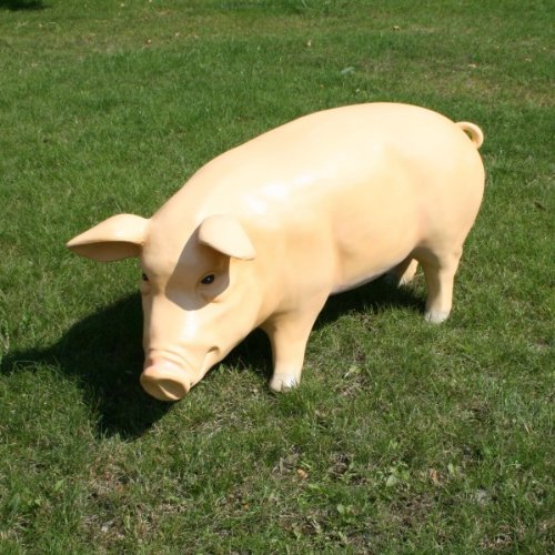 Lebensgroßes Deko-Schwein in XXL - 4