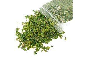 COLCOLO #N/A Paysage Feuilles Miniatures, Modèles Feuilles, 33 ML Micro Paysage Feuilles Paysage Touffes Table de Sable Diorama Chemin de Fer Scène Accessoires Feuille pour Jardin Orneme, Vert B