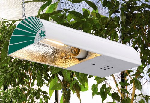 Bio Green Leuchten Hochdruck Natrium Dampflampe, weiß - 2