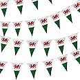 10m Welsh Triangle Bunting Banner Triangle Flags St Georges Day Euro Cricket Rugby Football World Cup Sports Events Street Party Decoration.