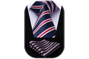 HISDERN Cravatta Uomo Elegante Extra Lungo Cravatta e Fazzoletto Set Cravatte e Pochette Seta per Matrimonio Festa 160 cm