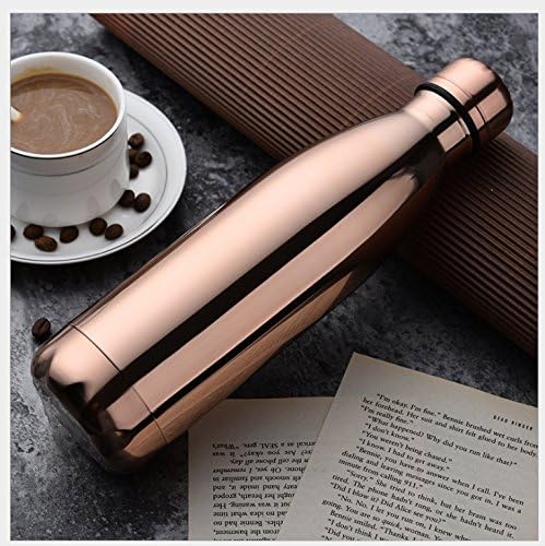 familamb Insulated Stainless Steel Water Vacuum Bottle Flask Double-walled for Outdoor Sports Hiking Running Electroplating color