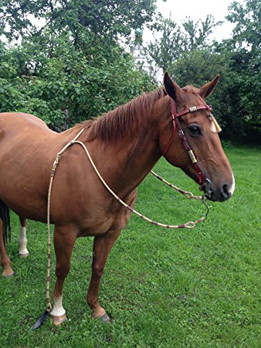 Preisvergleich Produktbild Westerntrense echt Leder, Rohhaut Romal Reins