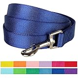 Blueberry Pet 2 cm by 150 cm Klassisch Einfarbige Basic Nylon-Hundeleinen Langlebig - Royalblau, M, Passender Hundehalsband & Hundegeschirr erhältlich separate