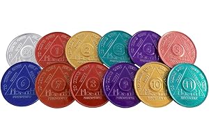 WENDELLS Set of 12 Aluminum AA Medallions Chips 24 Hours Months 1-11 Alcoholics Anonymous Medallion Chip Bulk Lot