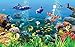 Produktbild Weaeo 3D Room Fototapete Benutzerdefinierte Mural Vlies Wandaufkleber Unterwasserwelt Marine Tier Malerei Fototapete Für Wände 3D-280X200Cm