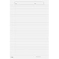Eclet 90 GSM A4 Size Both Side Ruled Sheet for Project/Assignment/Practical/Homework (Pack of 100 Sheets)