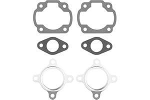 LT Easiyl Juego de 2 Juntas para Cilindros de Dos Tiempos de 50 CC Compatible con ATU Compatible con CPI Compatible con Genérico Compatible con Explorer Compatible con Keeway 2T