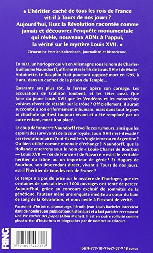 Livres Couvertures de Sang Royal : La vérité sur la plus grande énigme de l'Histoire de France