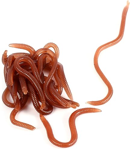 YUM Dinger Classic Worm – Esca Morbida A Verme Per Spigola, 100 Pezzi Da 12,7 Cm, Multiuso E Letale