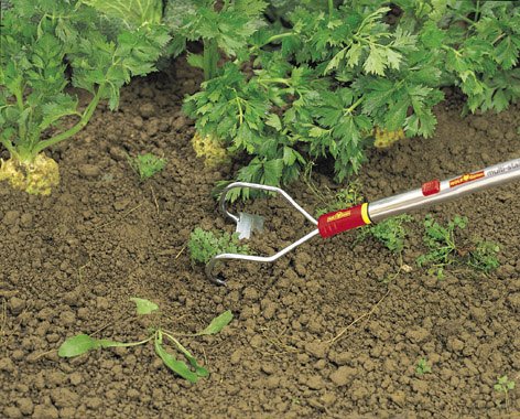 WOLF-Garten multi-star® Bügeljäter HO-M 15; 2352000 - 3