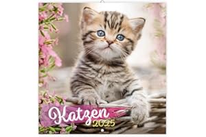 Trötsch Broschürenkalender Katzen 2025: Wandplaner