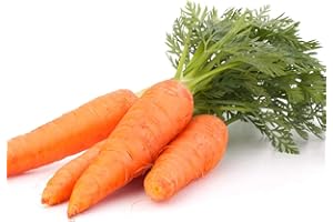 ACQUA TOWER GROWING SYSTEMS Carrot Plants - 'Chantenay' - 36 x Full Plant Pack - Garden Ready + Ready to Plant - Premium Quality Vegetable Plants