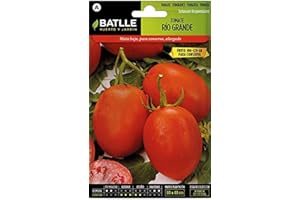 Semillas Batlle Tomate RIO GRANDE