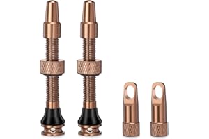 HZJD 2Pezzi Bike Tubeless Presta Valve Stem, deserto, Strumento di rimozione del nucleo integrato(44 mm)