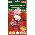 Euro Garden Carnation Giant mix