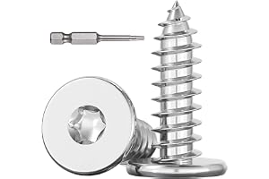 Dayalo 30 stycken träskruvar torx M5 x 30 mm, platt huvud rostfritt stål A2 V2A