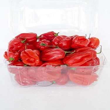 20 pezzi in miniatura di paprika bicolore, peperone per casa