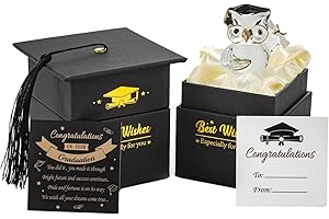 Suprano Graduation Gift Crystal Glass Owl Present Graduation Gifts for Her/Him, Keepsake Ornament In Massage Box