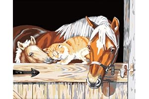 JanFebMar Peinture par Numéro Adulte Enfant, DIY Paint by Numbers Kit sans Cadre 40 x 50 cm, pour Décoration Intérieure,Cheval et cat-1