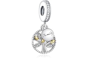 Annmors Abalorios Charms para Plata Ley 925 con Circonita Cúbica Pulsera Collar Mujer