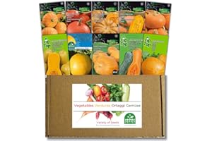 NOJAUS SĖKLOS Nojus - Collezione di semi di zucca - 10 varietà di zucche giganti, moscate e decorative - Atlantic Giant, Muscat de Provence, Uchiki Kuri - Coltiva la tua zucca