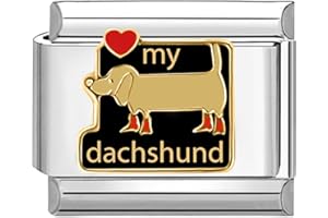 Quiges - Modulo Charm Link in stile italiano da 9 mm in acciaio inox Adoro il mio cane bassotto per bracciali in stile Italian Links