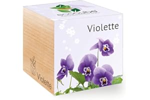 Feel Green Ecocube Violette, Idée Cadeau (100% Ecologique), Grow-Your-Own/Kit Prêt-à-Pousser, Plantes Dans Des Cubes En Bois 7.5cm, Produit En Autriche, naturel