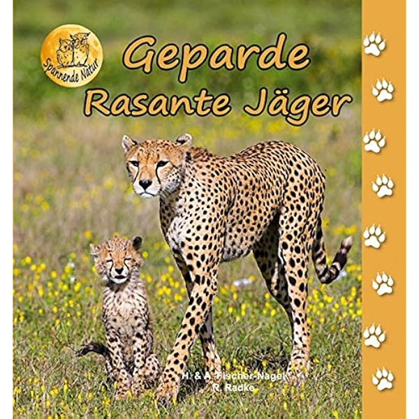 Geparde Rasante Jager Spannende Natur Amazon De Fischer Nagel Heiderose Fischer Nagel Andreas Radke Reinhard Bucher