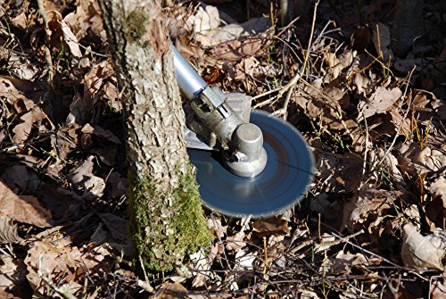 Oregon Freischneidebaltt EIA 225 x 25,4 mm, 110977 - 2