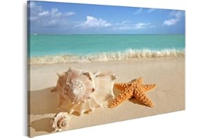 islandburner Cuadro Moderno en Lienzo Concha De Mar Estrella De Mar En Arena Tropical Mar Turquesa Caribe Cuadros Decoracion Cocina Salon