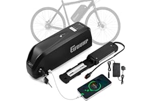 EIFDUHP 48V Ebike Battery 20AH, Electric Bike Battery Pack Lithium-ion with Charger Baseplate for 1500W 1000W 750W 500W 350W 250W 200W Bicycle Motor
