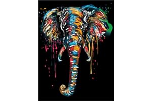 Meecaa Paint by Numbers Colored Elephant Kit for Adults Beginner DIY Oil Painting 16x20 inch (Elephant, No Frame)