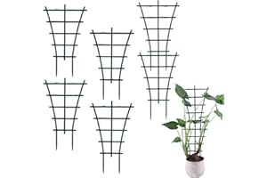 LUMOOM 6 unidades de plantas de interior apilables, enrejado para plantas, soporte reutilizable para plantas trepadoras