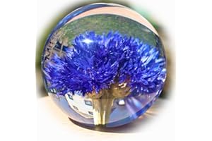 LAUSCHAER GLASKUNST Briefbeschwerer mit Kornblume