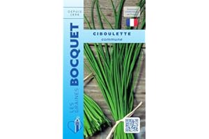 Sachet de graines de Ciboulette Commune (civette) - 1 g - légume tige - LES GRAINES BOCQUET