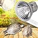 Produktbild UVB 25W / 50W / 75W Compact Bulb Ideal Full Spectrum Terrarium Lampe für Amphibien
