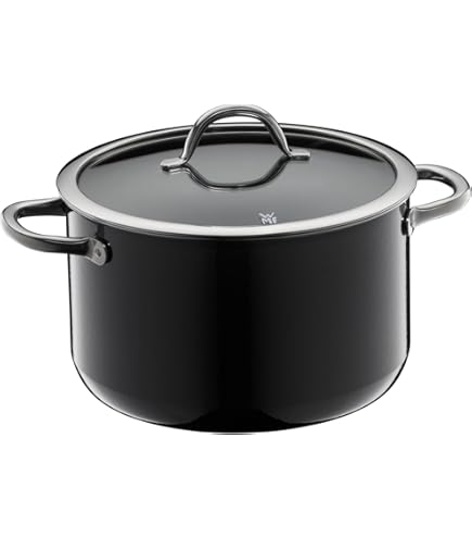 WMF Fusiontec Mineral Cooking Pot Large 24 cm Glass Lid Induction