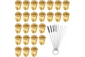 ADDLIVE Vergaser Düse M5, 25 Stück Hauptdüsenset Satz mit 10 Reinigungsnadeln 5 Bürsten 5mm Hauptdüsen Mikuni Dellorto 55 58 60 62 65 68 70 72 75 78 80 82 85 88 90 92 95 98 100 102 105 108 110 112 115