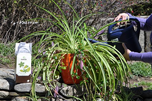 Bio Gemüse und Kräuterdünger – Tee für Pflanzen - 5